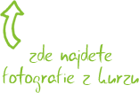 Fotografie z kurzu 